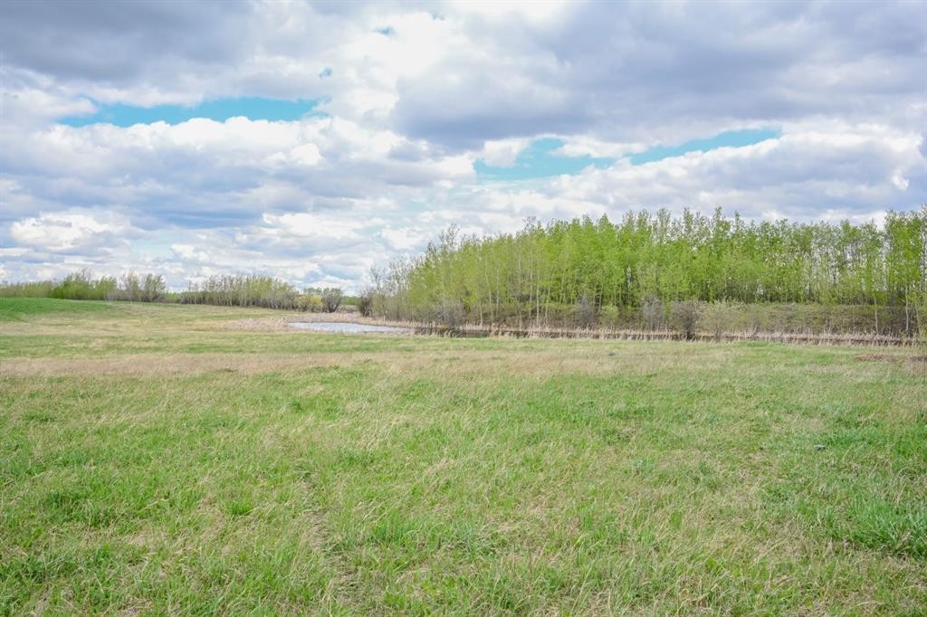 31050 43 Highway, Bezanson, AB - Outdoor With View
