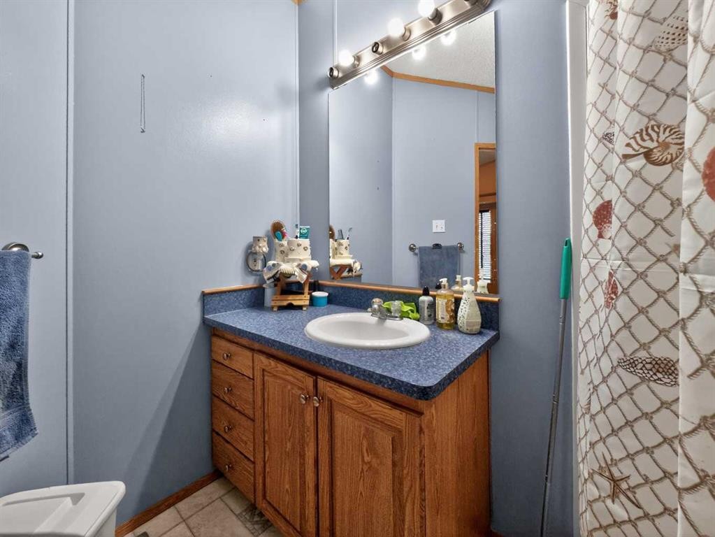 10202 Homestead Way, La Crete, AB - Indoor Photo Showing Bathroom
