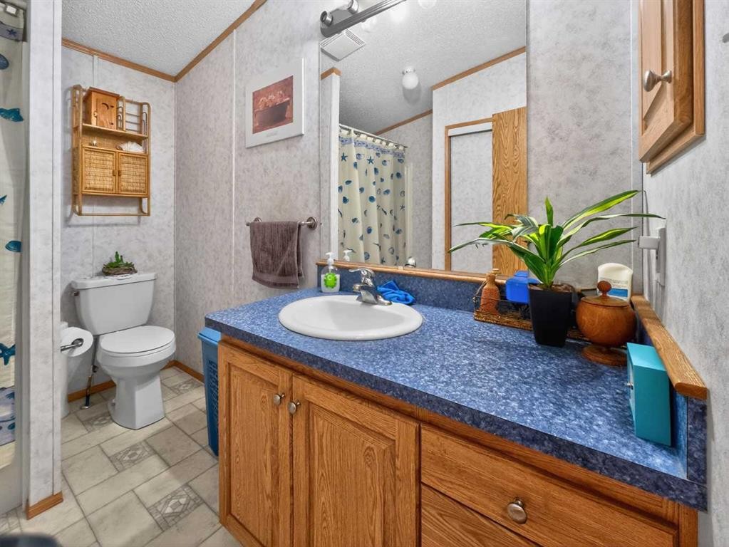 10202 Homestead Way, La Crete, AB - Indoor Photo Showing Bathroom