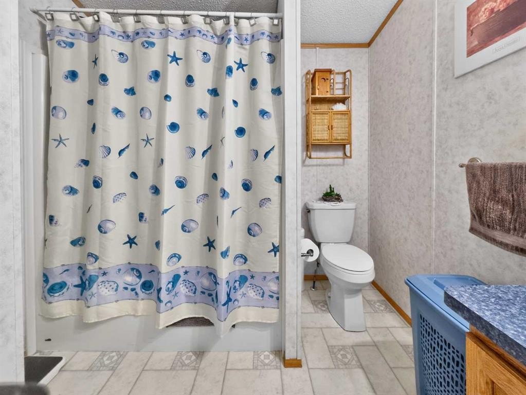 10202 Homestead Way, La Crete, AB - Indoor Photo Showing Bathroom