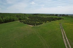 NE22-74-6-W6 62 Range Road Rural Grande Prairie No. 1, County Of, AB T0H 3C0