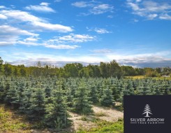 NE22-74-6-W6 62 Range Road Rural Grande Prairie No. 1, County Of, AB T0H 3C0