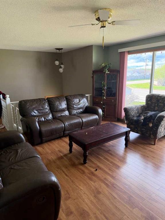 5311 50 Avenue, Grimshaw, AB - Indoor Photo Showing Living Room