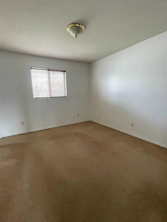 12 Bison Crescent, High Level, AB - Indoor Photo Showing Other Room