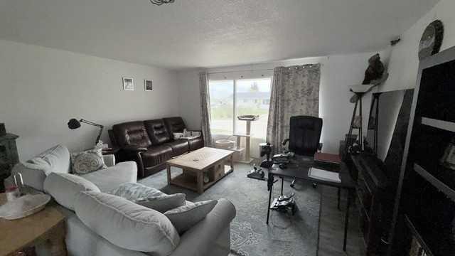 4804 47 Avenue, Grimshaw, AB - Indoor Photo Showing Living Room