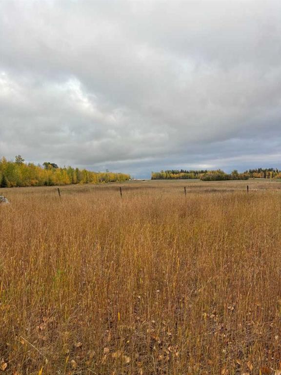 70009 Range Road 75, Grovedale, AB - Outdoor With View