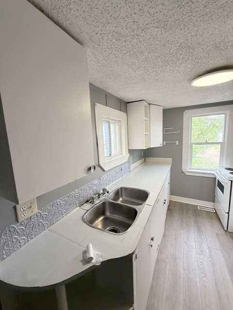 10030 102 Street, Peace River, AB - Indoor Photo Showing Kitchen With Double Sink