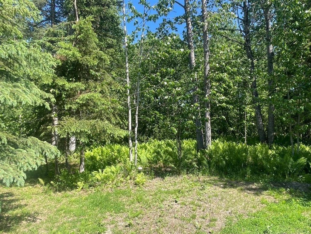 Lot 100 Willow Drive, Grouard, AB