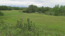 725060 Highway 43 Beaverlodge, AB T0H 0C0