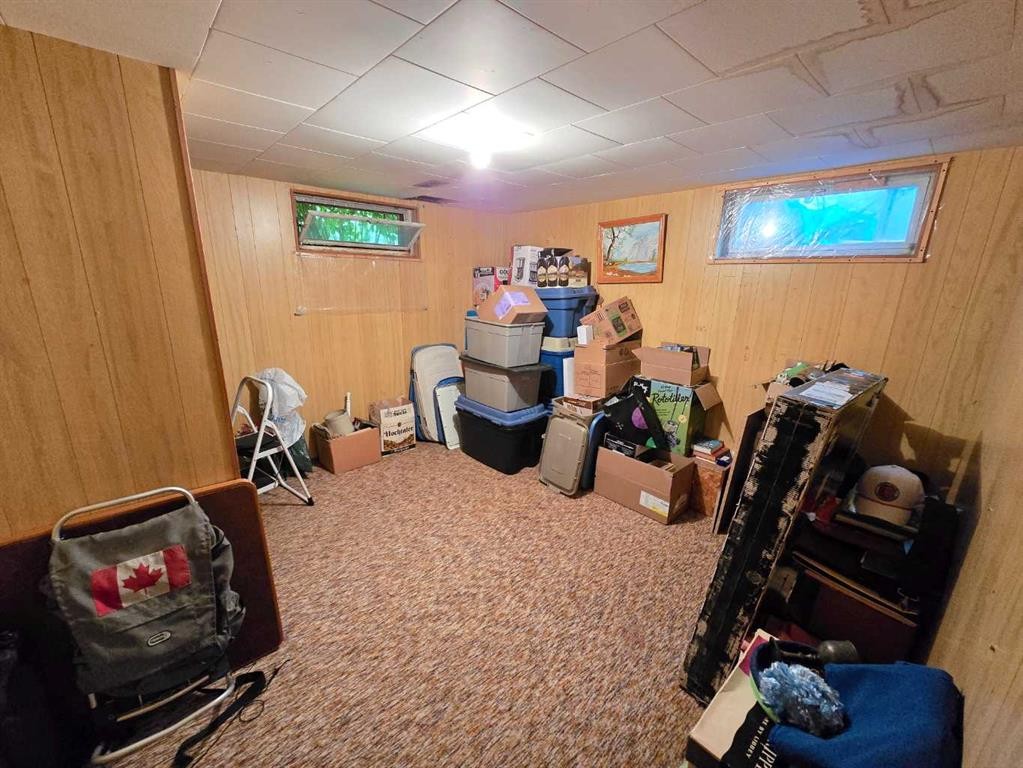 4610 52 Avenue, Grimshaw, AB - Indoor Photo Showing Basement