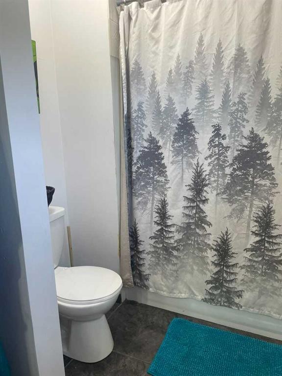 4702 48 Avenue, Grimshaw, AB - Indoor Photo Showing Bathroom