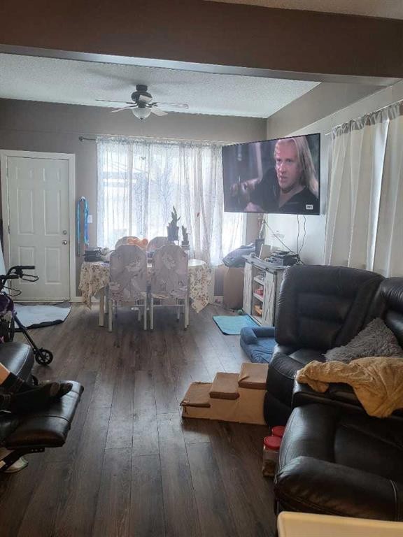 5031 48 Avenue, Girouxville, AB - Indoor Photo Showing Living Room