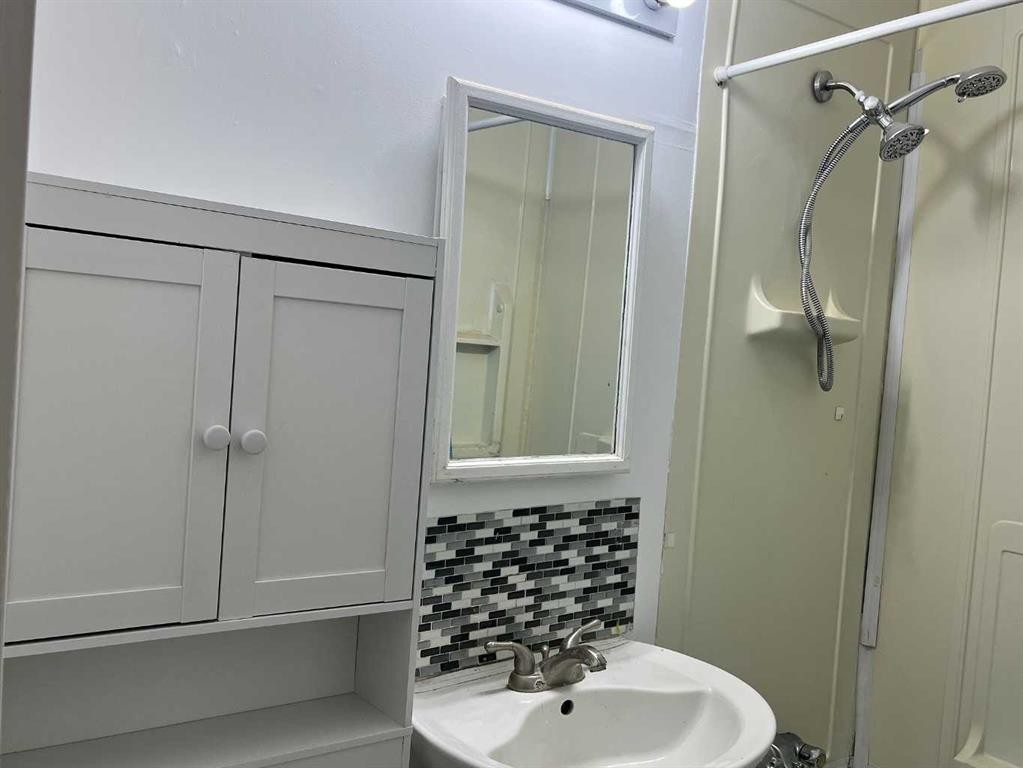 10104 99 Street, High Level, AB - Indoor Photo Showing Bathroom