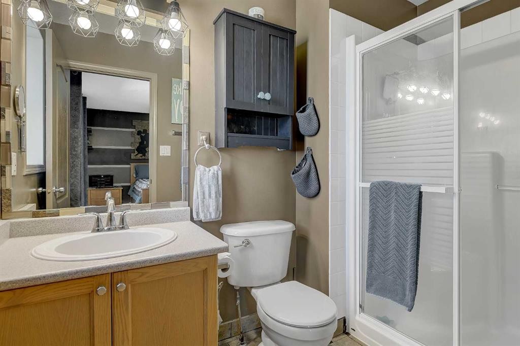 7317 104 Street, Grande Prairie, AB - Indoor Photo Showing Bathroom