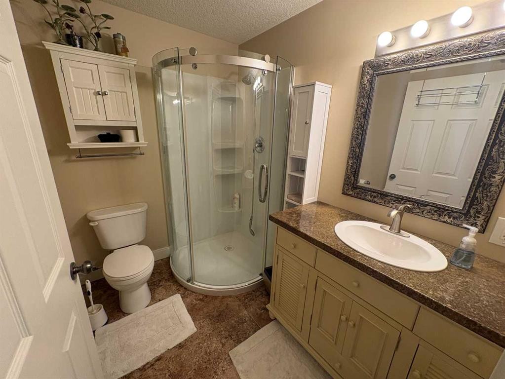 10032 102 Street, Peace River, AB - Indoor Photo Showing Bathroom
