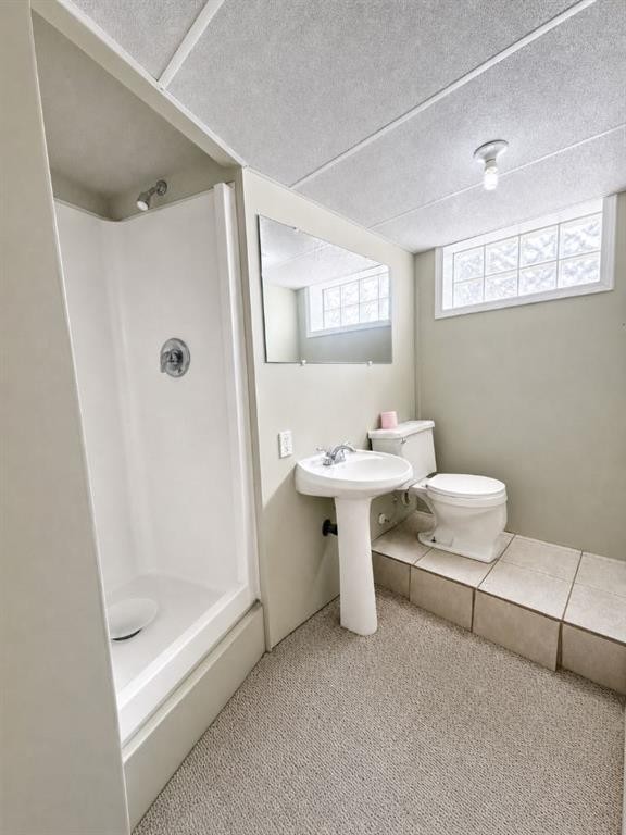 4653 55Th Avenue, High Prairie, AB - Indoor Photo Showing Bathroom