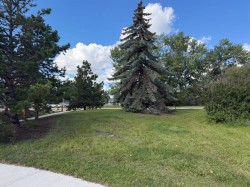10415 96A Street Grande Prairie, AB T8V 2A7