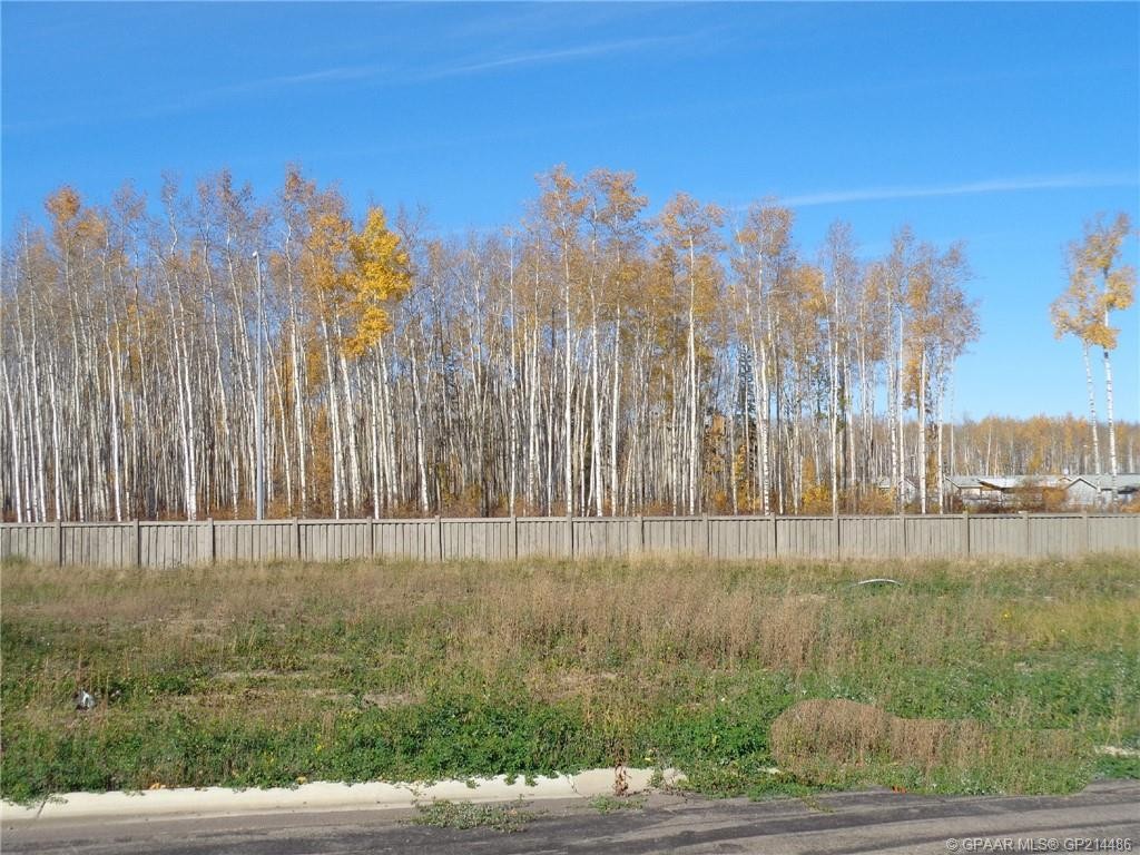 13 Bear Creek Drive, High Level, AB