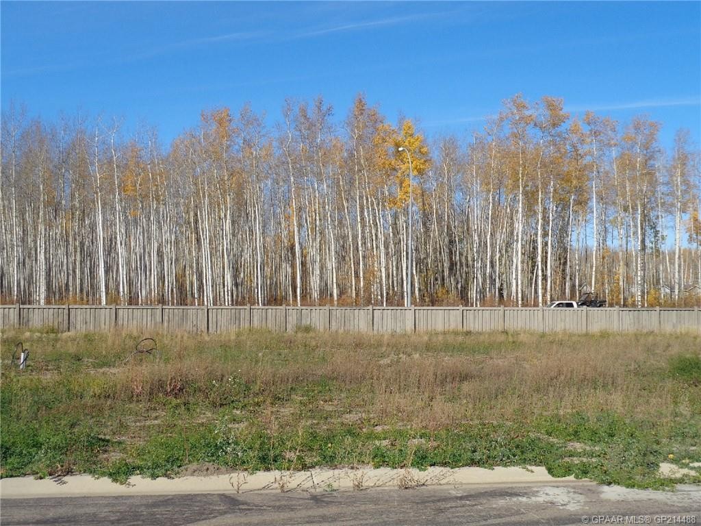 17 Bear Creek Drive, High Level, AB