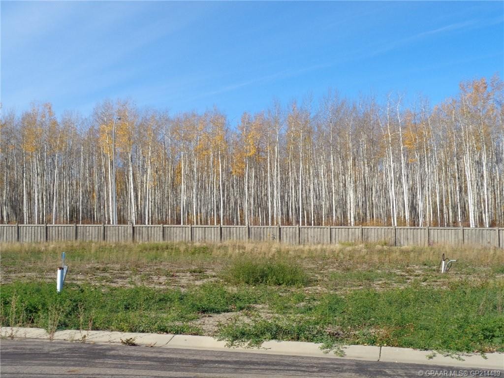 19 Bear Creek Drive, High Level, AB