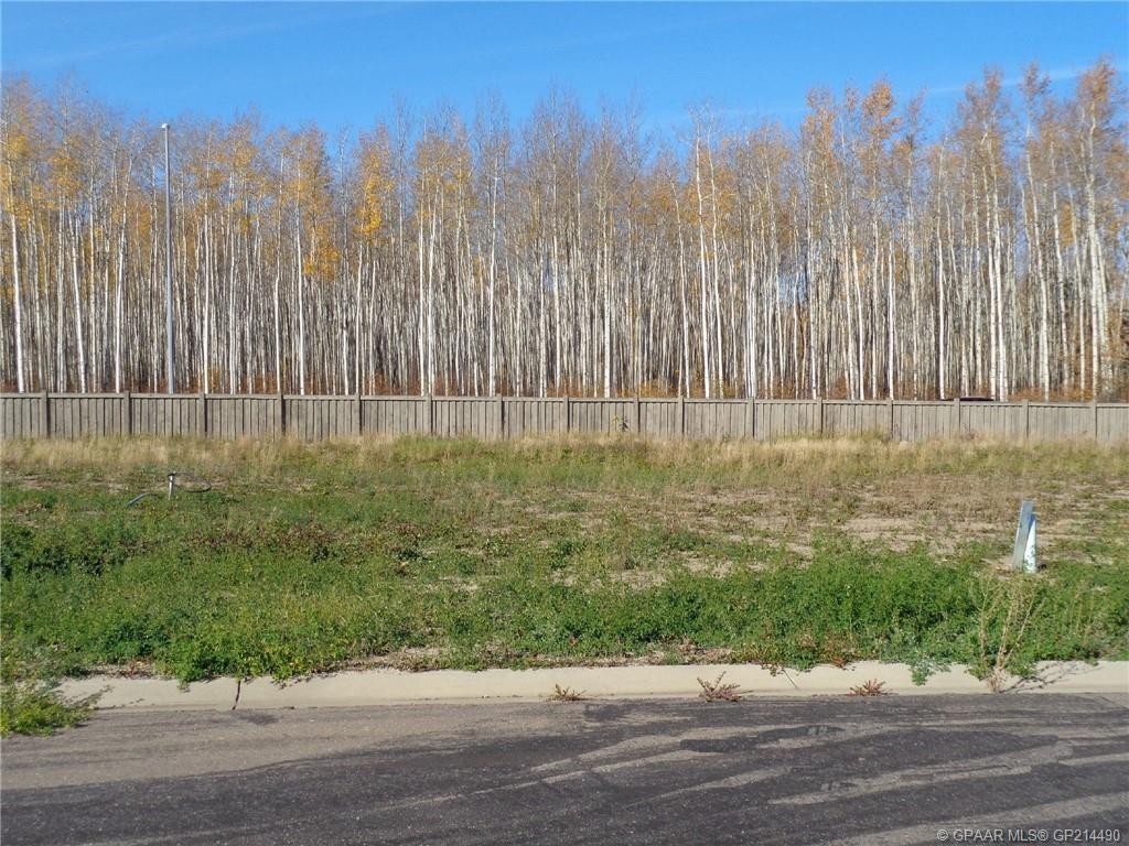 21 Bear Creek Drive, High Level, AB