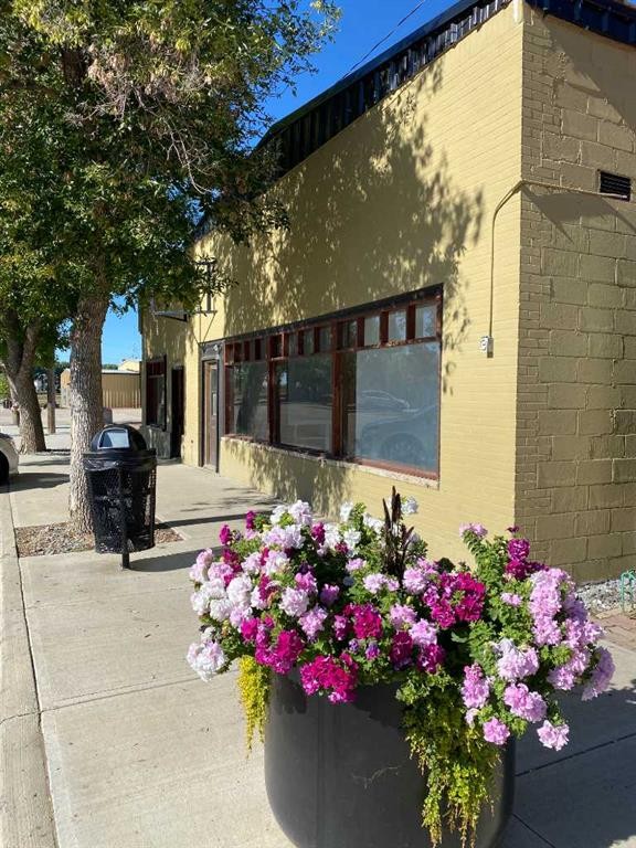 165 Centre Street, Tilley, AB