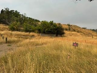 646 10 Street Se, Medicine Hat, AB