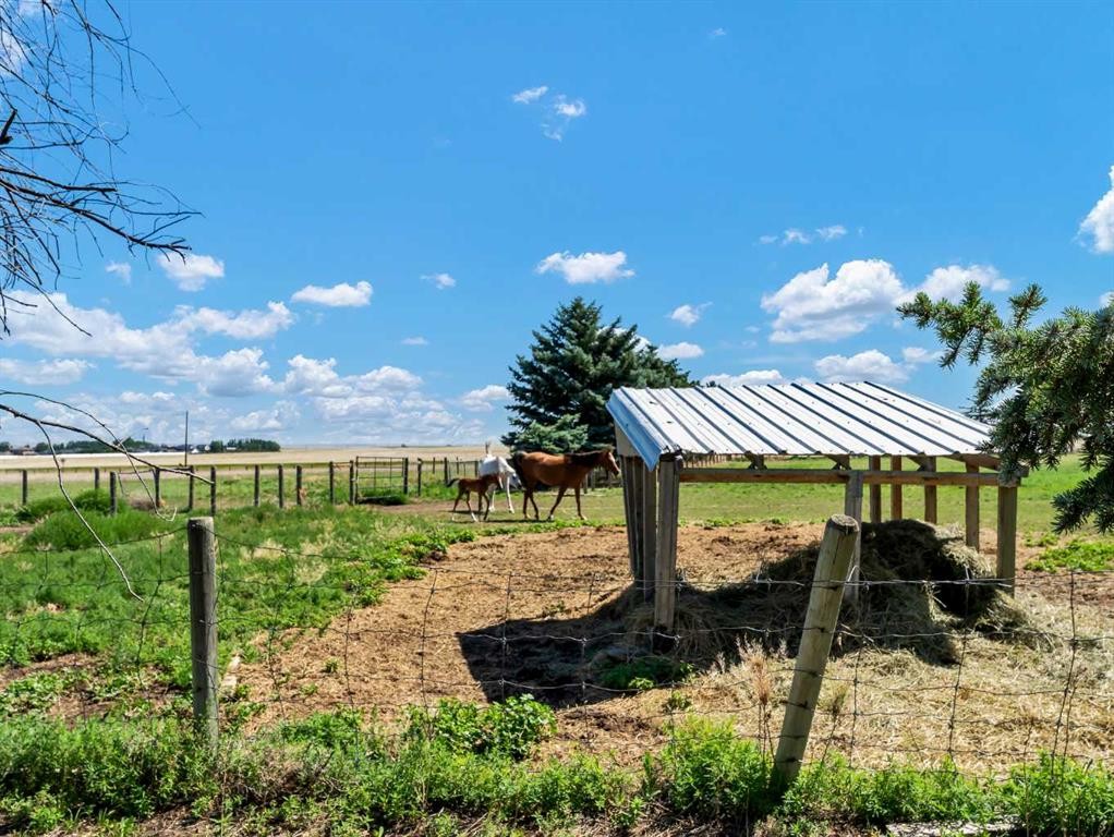 11522 Eagle Butte Road, Rural Cypress County, AB - Outdoor