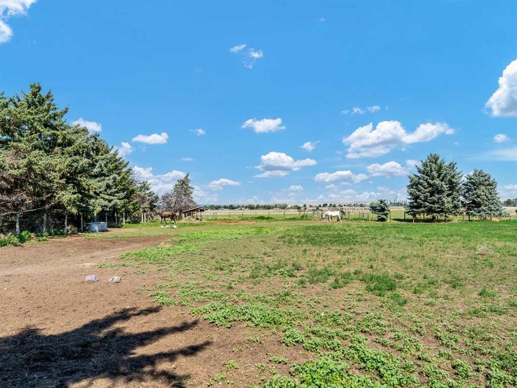 11522 Eagle Butte Road, Rural Cypress County, AB - Outdoor With View