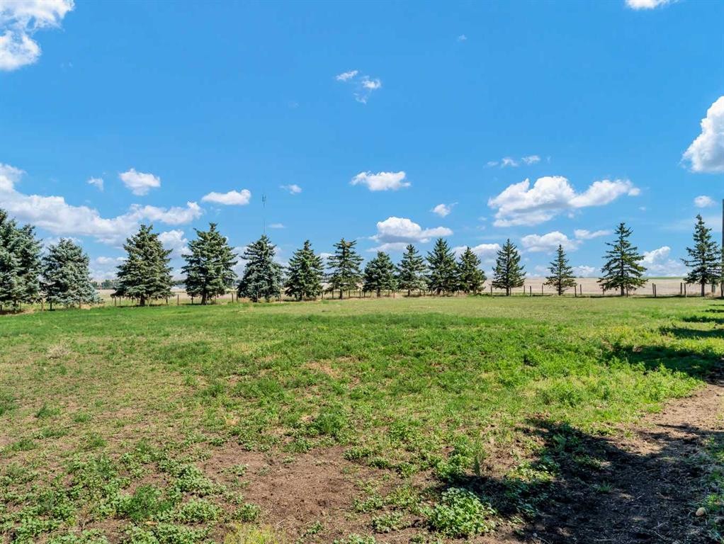 11522 Eagle Butte Road, Rural Cypress County, AB - Outdoor With View