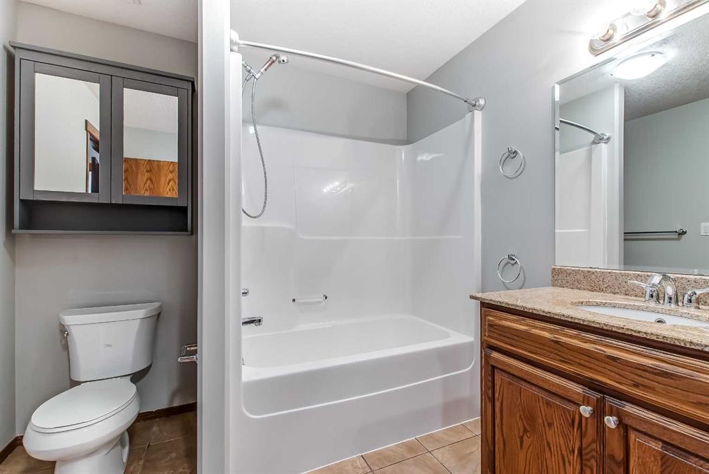 1048 Eagle Ridge Drive, Dunmore, AB - Indoor Photo Showing Bathroom