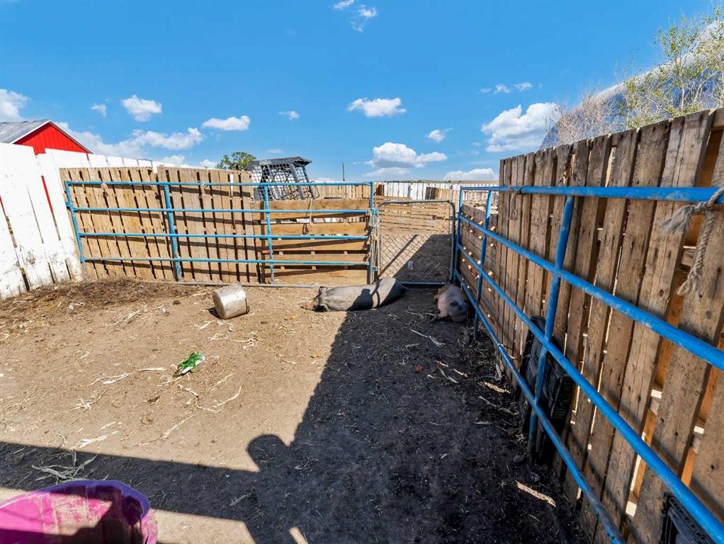 1-13402 Range Road 75, Rural Cypress County, AB - Outdoor