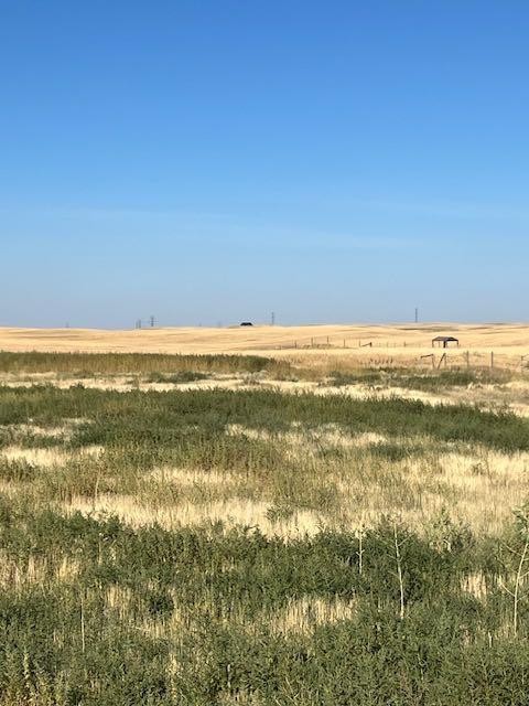 11005 Eagle Butte Rd, Dunmore, AB