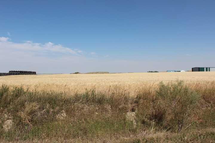 1110 1 Avenue East, Bow Island, AB