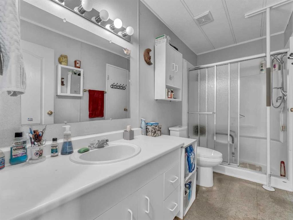 342 Cornell Crescent Sw, Medicine Hat, AB - Indoor Photo Showing Bathroom