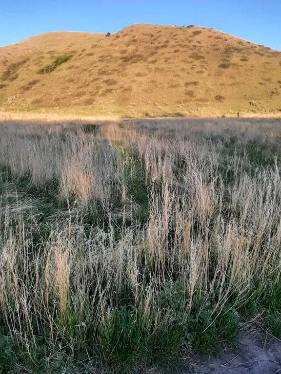 701 47Th Avenue North, Lethbridge, AB