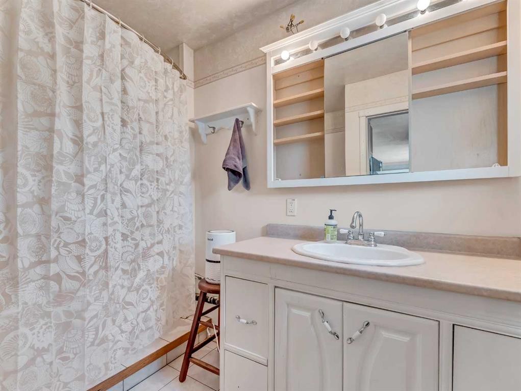 6-12006 Range Road 43, Rural Cypress County, AB - Indoor Photo Showing Bathroom
