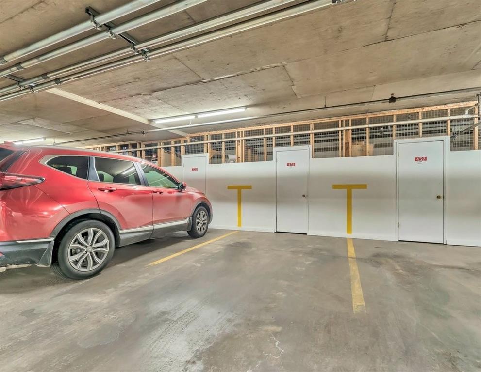 431-278 Park Meadows Drive Se, Medicine Hat, AB - Indoor Photo Showing Garage