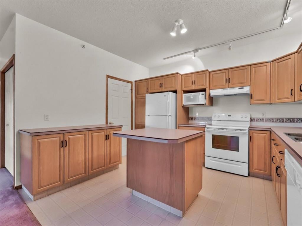 431-278 Park Meadows Drive Se, Medicine Hat, AB - Indoor Photo Showing Kitchen With Double Sink