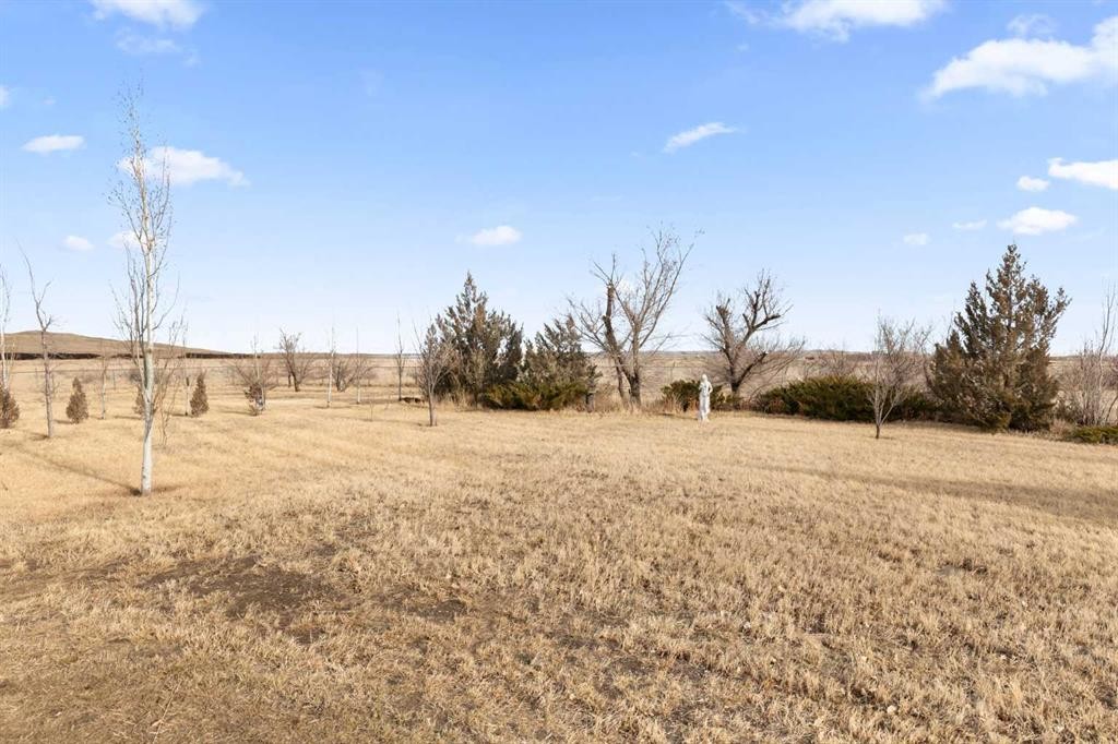 626 Old Highway 1, Walsh, AB - Outdoor With View