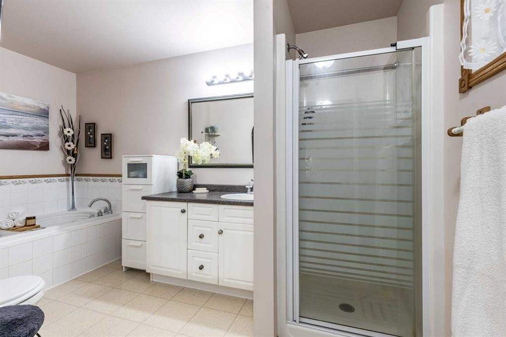 512 11 Street, Dunmore, AB - Indoor Photo Showing Bathroom