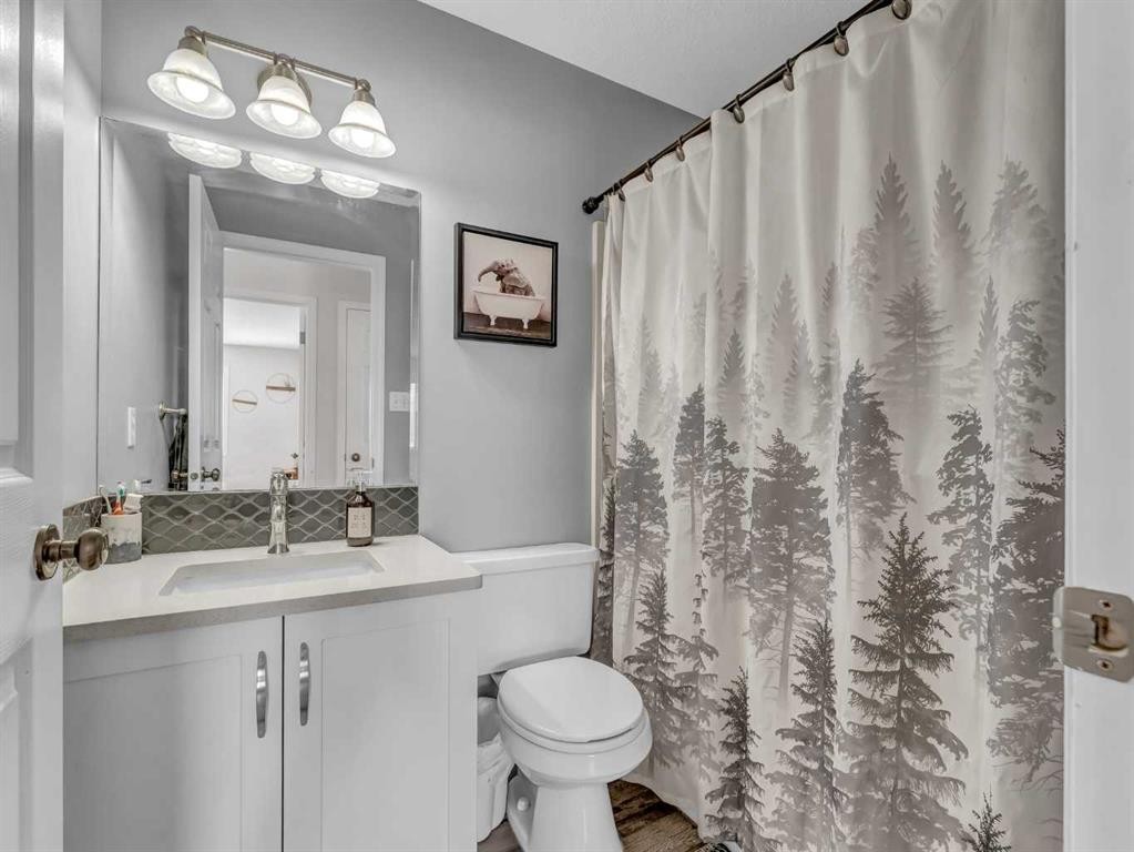 416 Redcliff Way Se, Redcliff, AB - Indoor Photo Showing Bathroom
