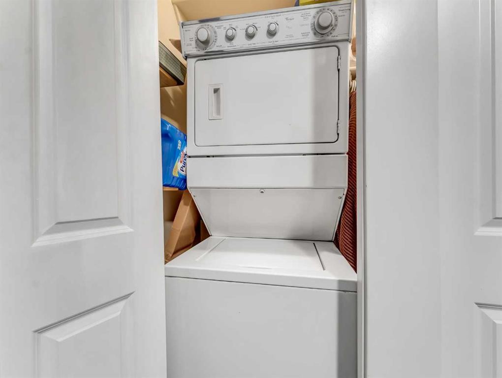 106-371 Aberdeen Street Se, Medicine Hat, AB - Indoor Photo Showing Laundry Room