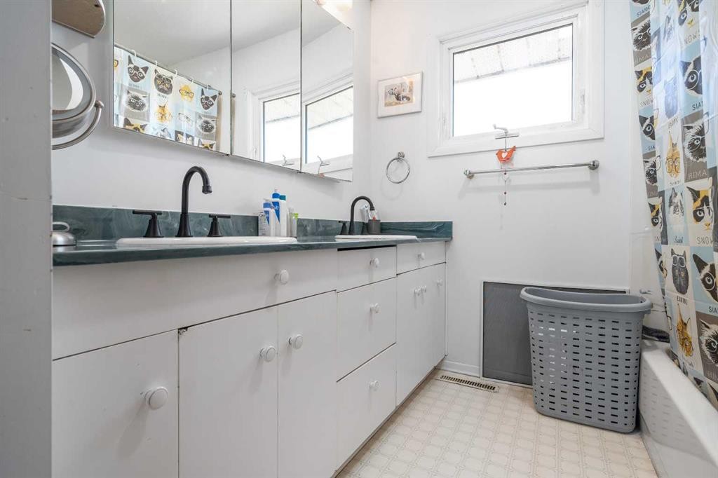 104040 Range Road 111, Bow Island, AB - Indoor Photo Showing Bathroom