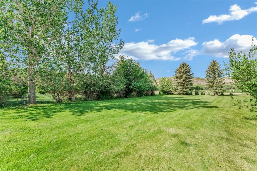 20 Josephine Avenue Sw, Redcliff, AB - Outdoor With View