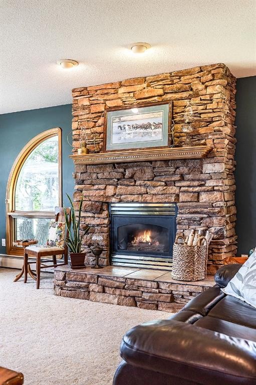 14017 Range Road 65, Rural Cypress County, AB