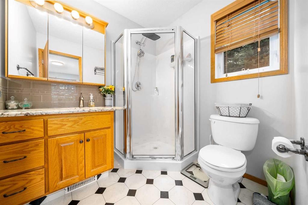 104063 Range Road 111, Bow Island, AB - Indoor Photo Showing Bathroom