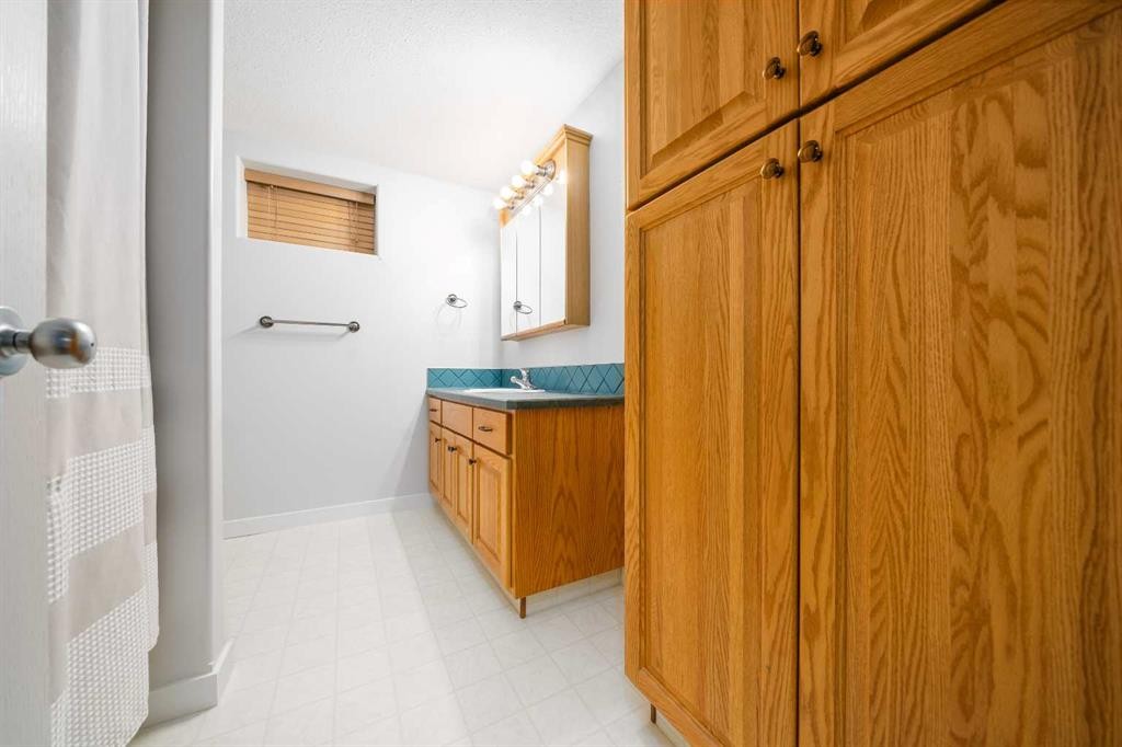 104063 Range Road 111, Bow Island, AB - Indoor Photo Showing Bathroom