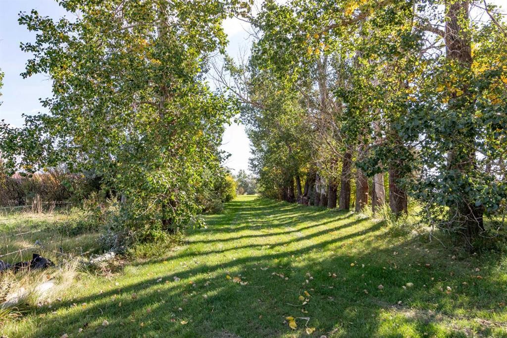 12228 Range Road 64, Rural Cypress County, AB