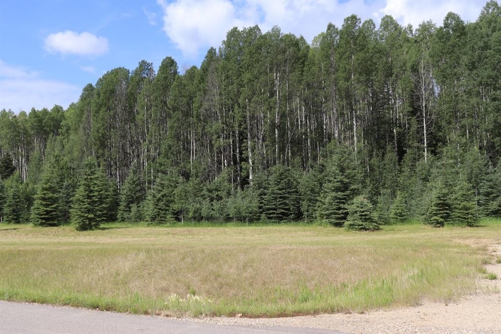 24-165111 Township Road 532A Subdivision, Rural Yellowhead County, AB